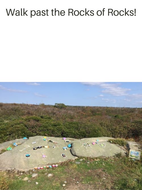 Shag Harbour Rocks 3.jpg